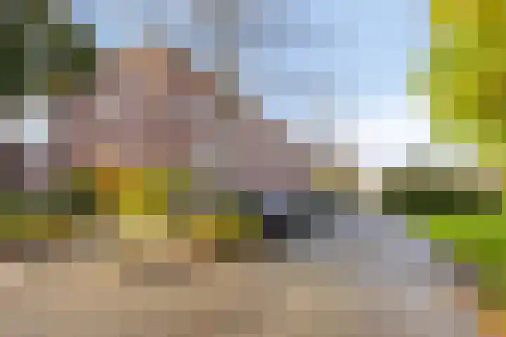 Dijkgraafstraat 35 Delfgauw thumbnail 30