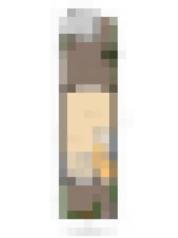 Dijkgraafstraat 35 Delfgauw thumbnail 31