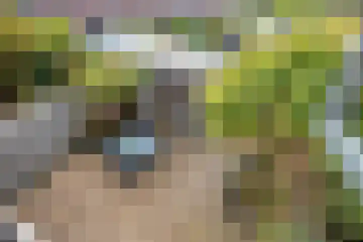 Dijkgraafstraat 35 Delfgauw thumbnail 5