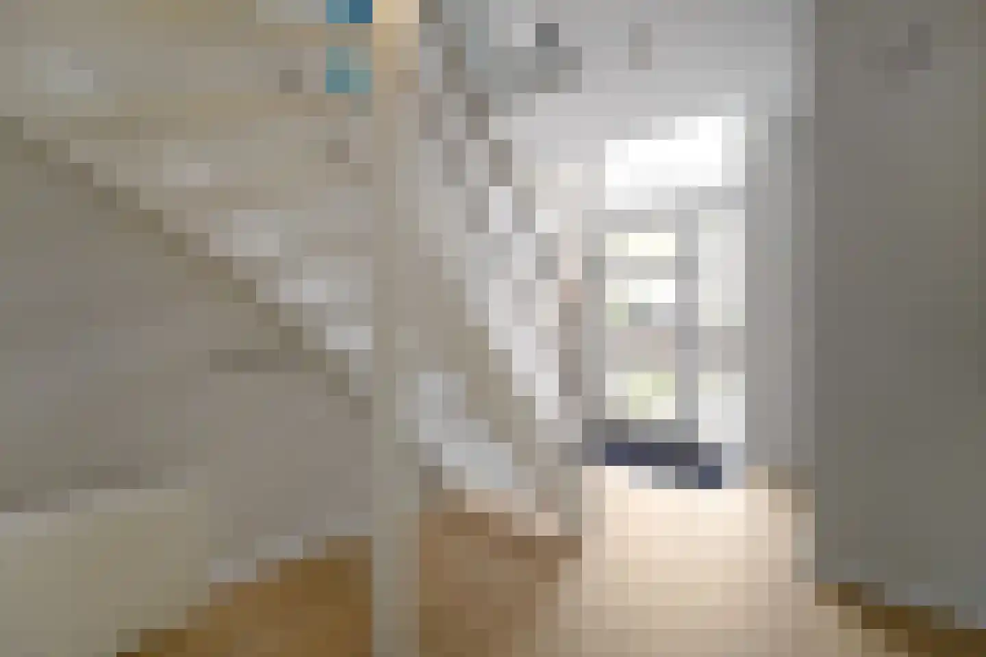 Dijkgraafstraat 4 Delfgauw thumbnail 10