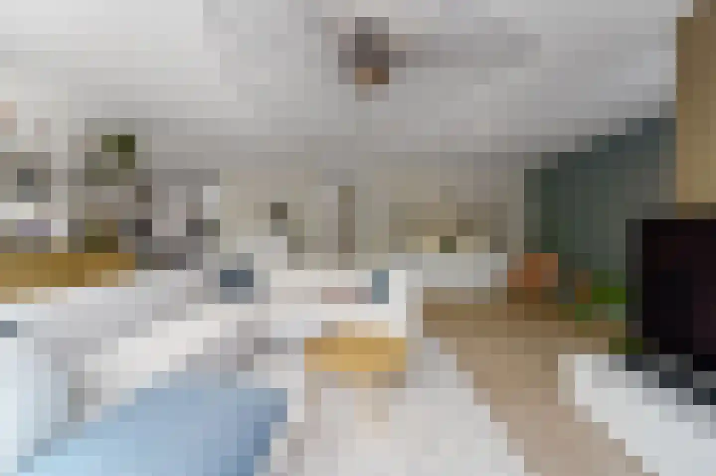 Dijkgraafstraat 4 Delfgauw thumbnail 14