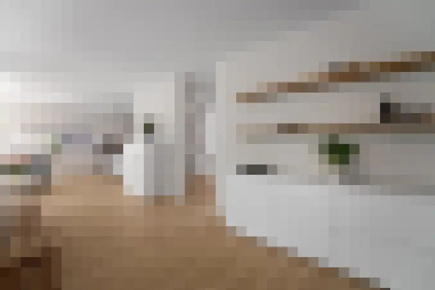 Dijkgraafstraat 4 Delfgauw thumbnail 17