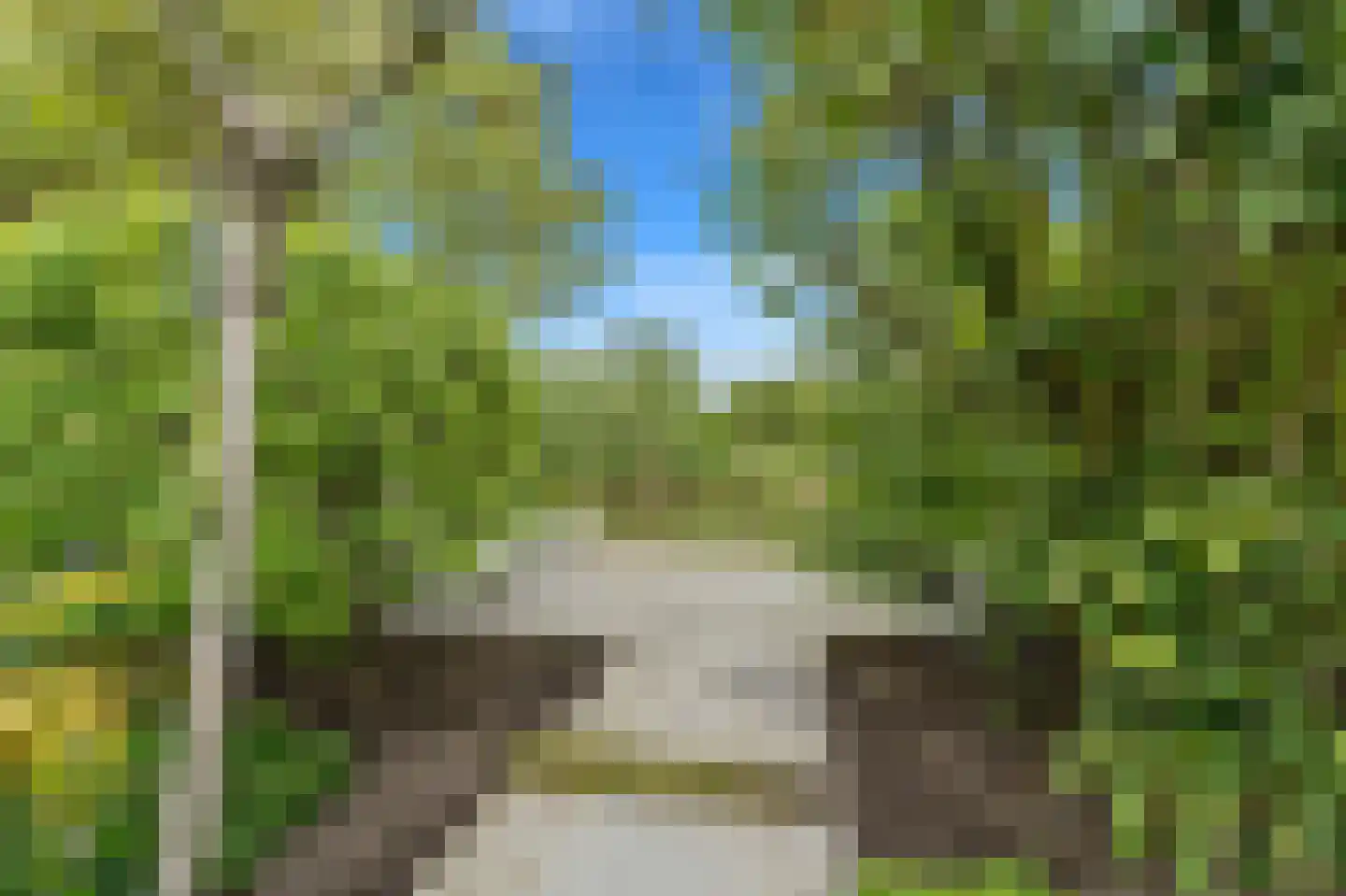 Dijkgraafstraat 4 Delfgauw thumbnail 23