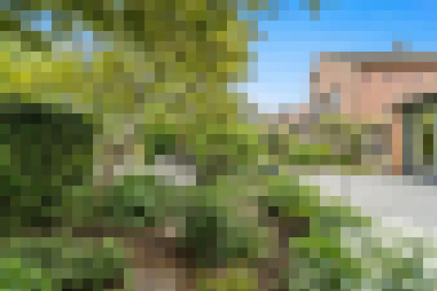 Dijkgraafstraat 4 Delfgauw thumbnail 25
