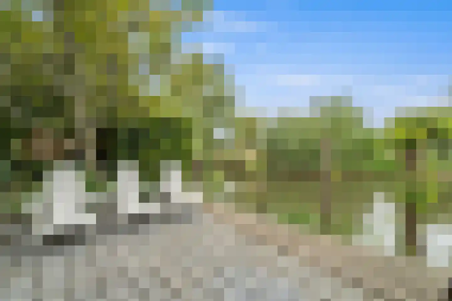 Dijkgraafstraat 4 Delfgauw thumbnail 26