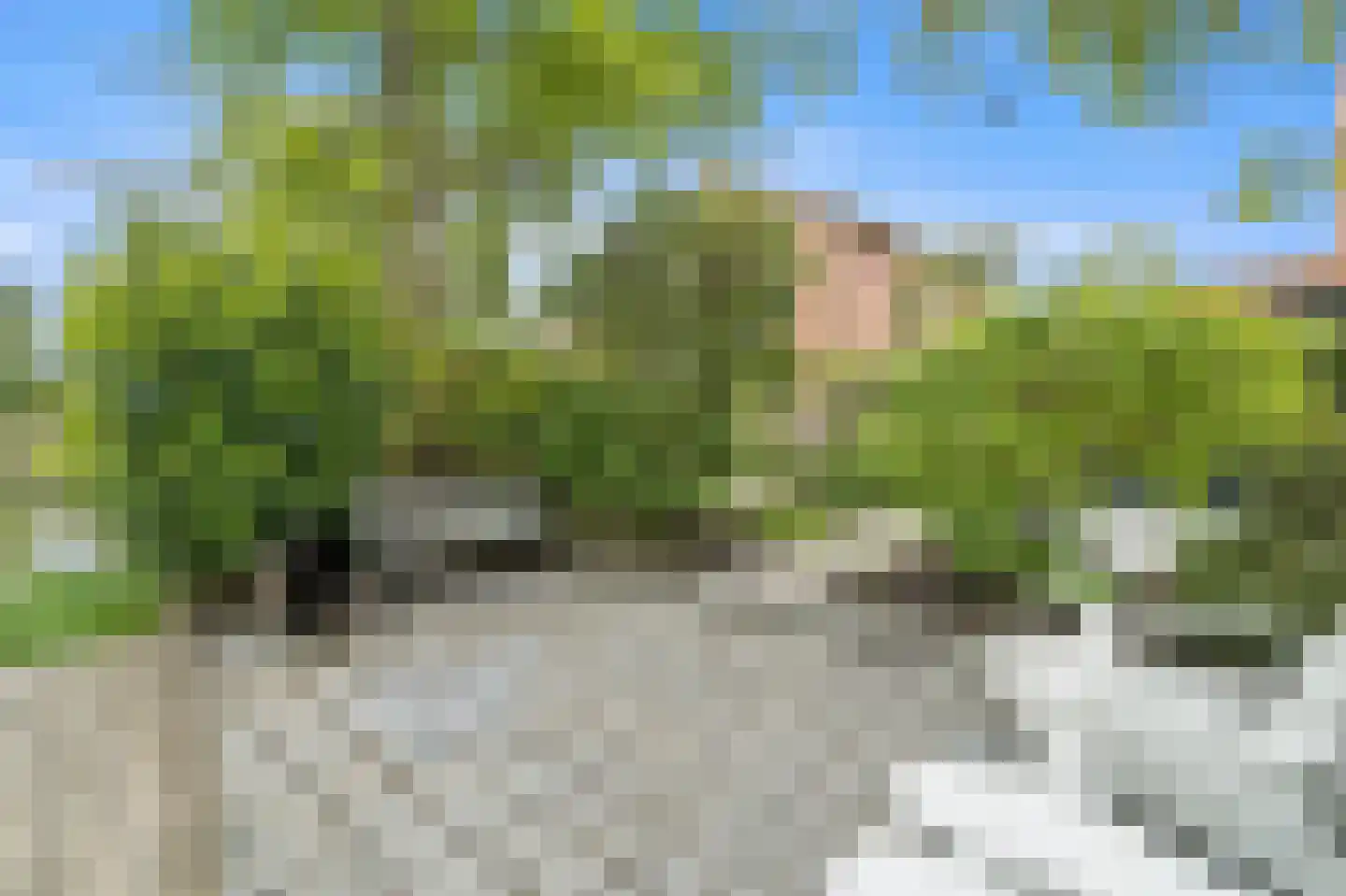 Dijkgraafstraat 4 Delfgauw thumbnail 27