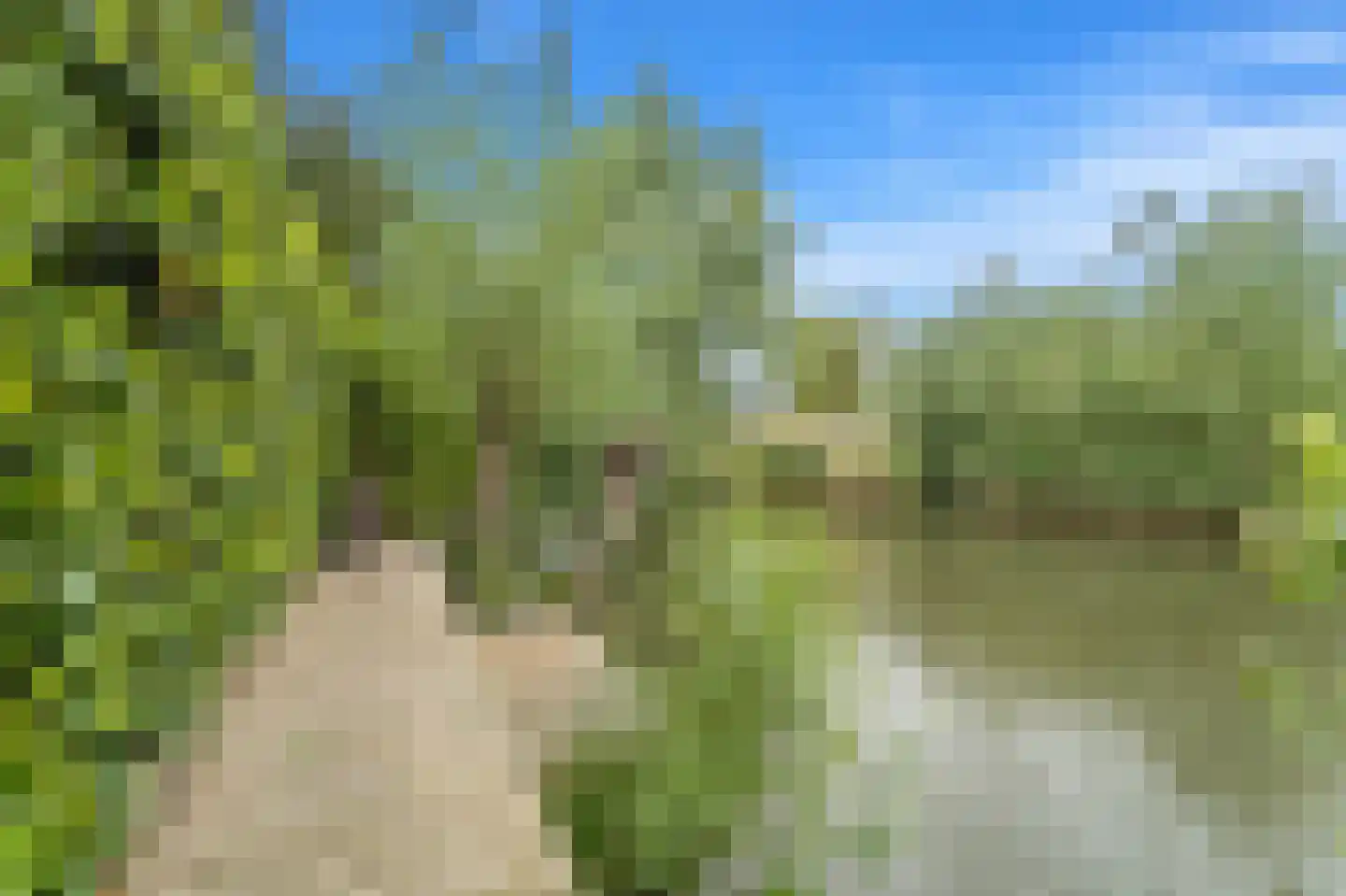 Dijkgraafstraat 4 Delfgauw thumbnail 28