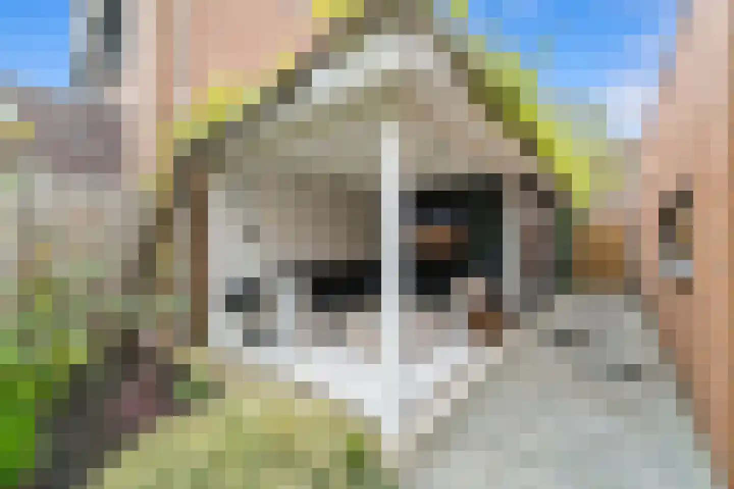 Dijkgraafstraat 4 Delfgauw thumbnail 31
