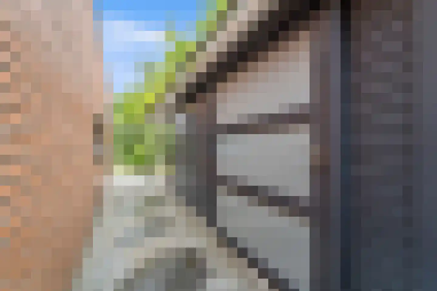 Dijkgraafstraat 4 Delfgauw thumbnail 35