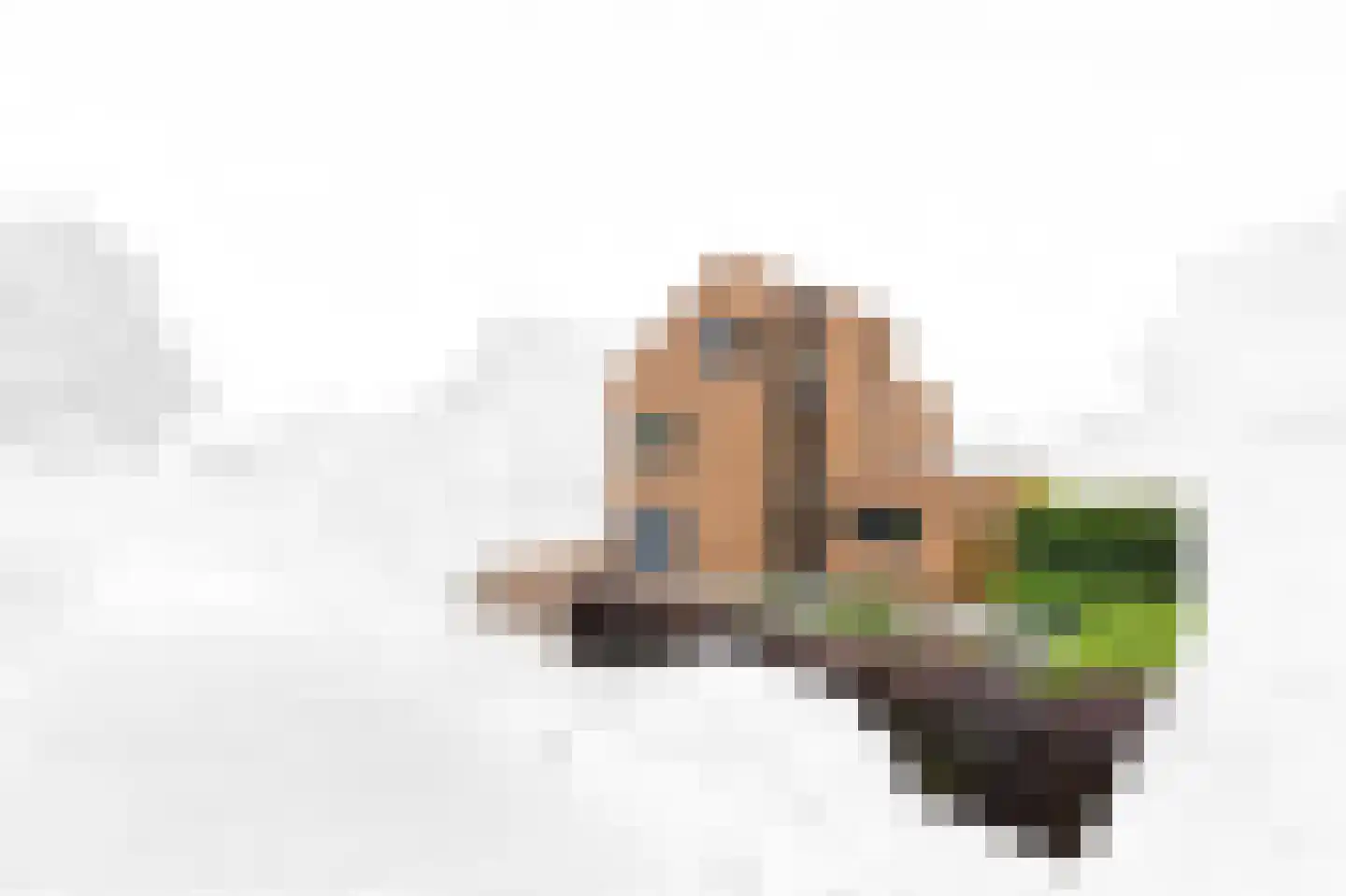 Dijkgraafstraat 4 Delfgauw thumbnail 4