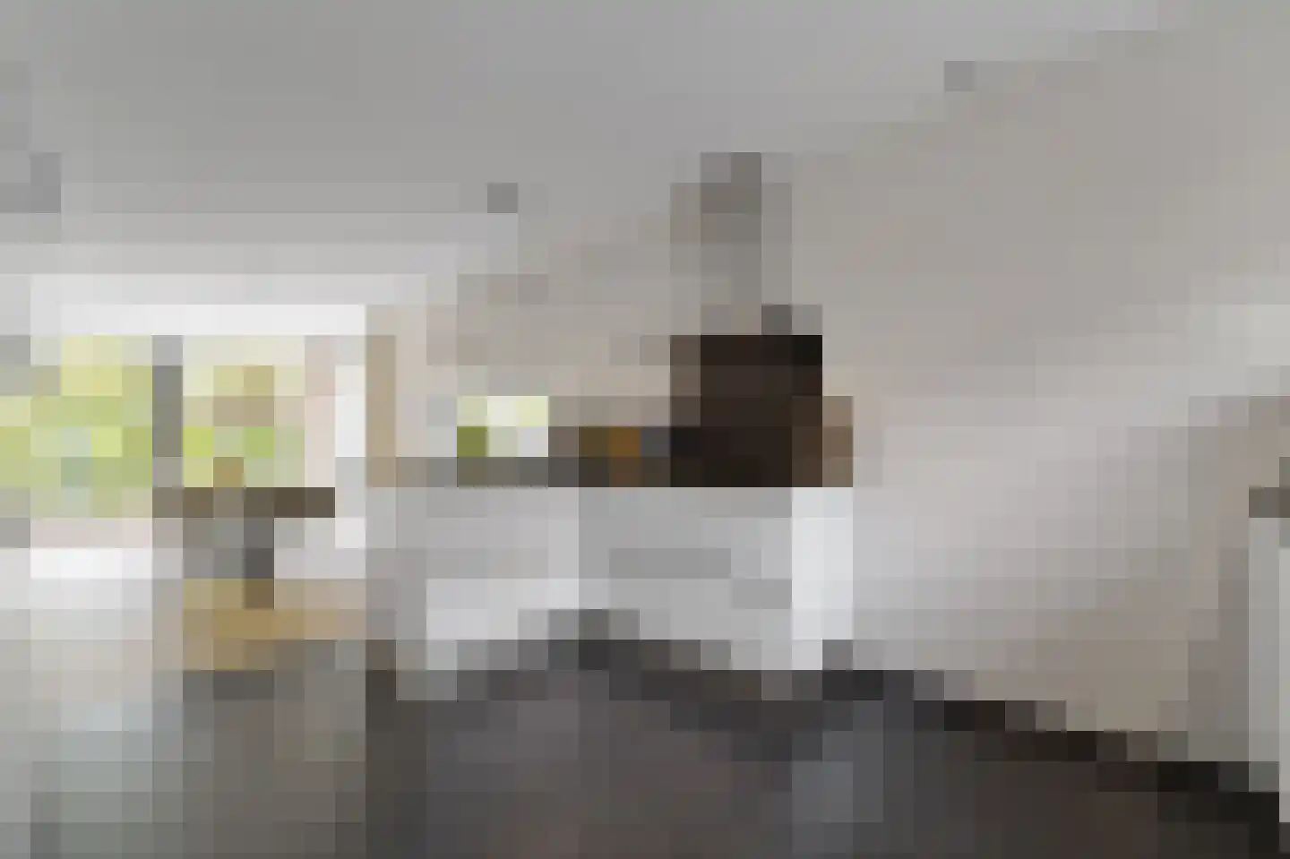 Dijkgraafstraat 4 Delfgauw thumbnail 48