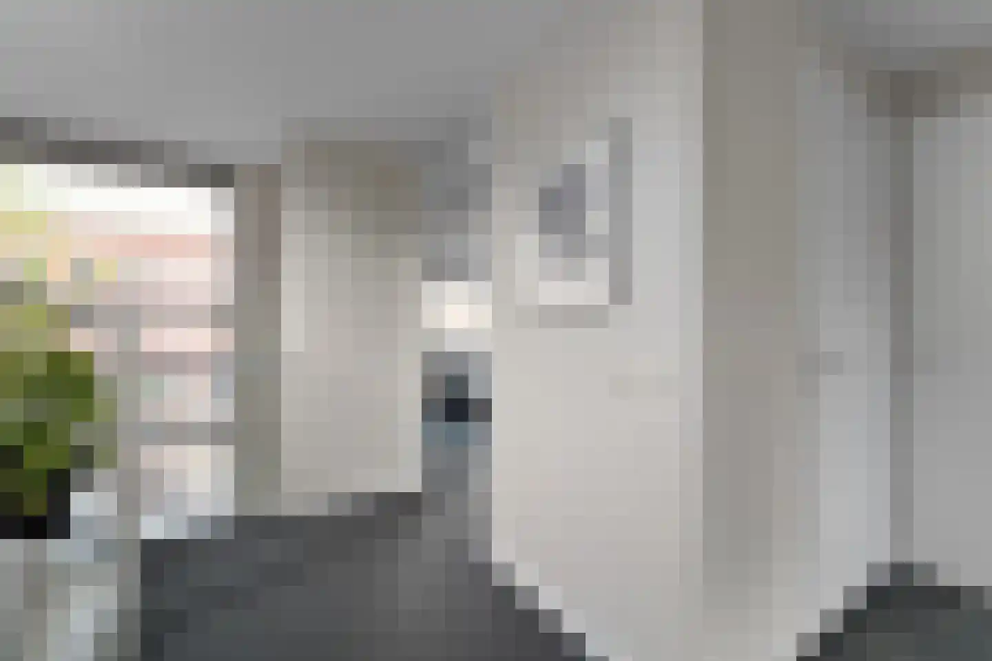 Dijkgraafstraat 4 Delfgauw thumbnail 52