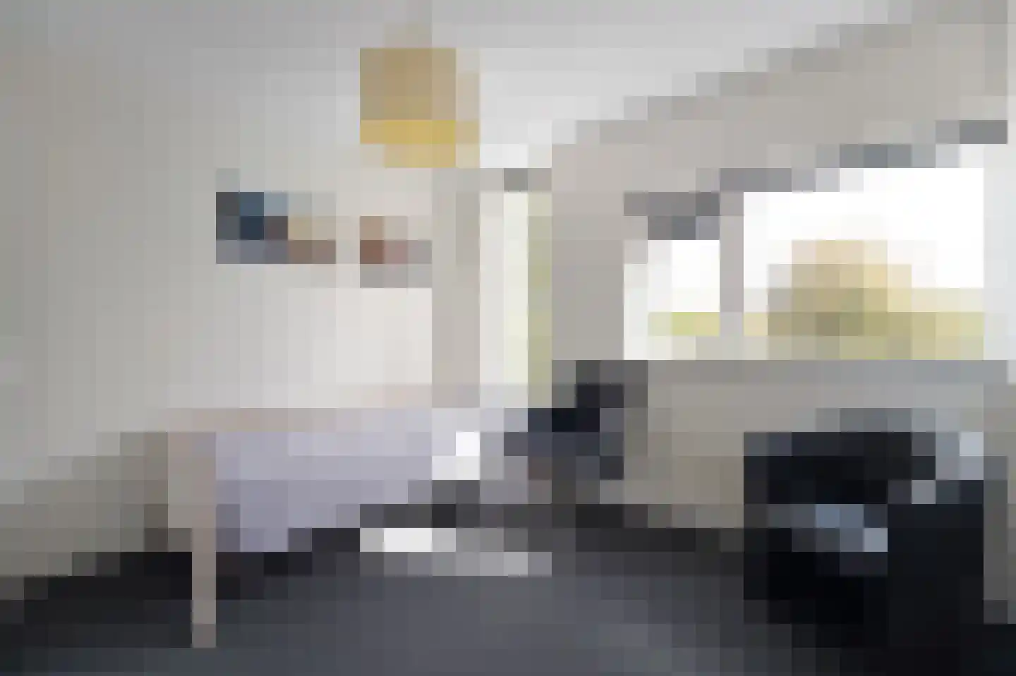 Dijkgraafstraat 4 Delfgauw thumbnail 57