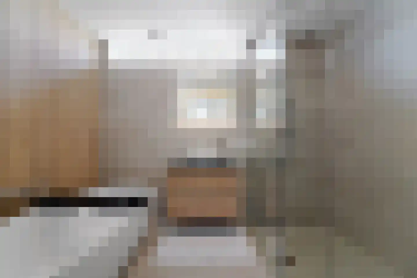 Dijkgraafstraat 4 Delfgauw thumbnail 60