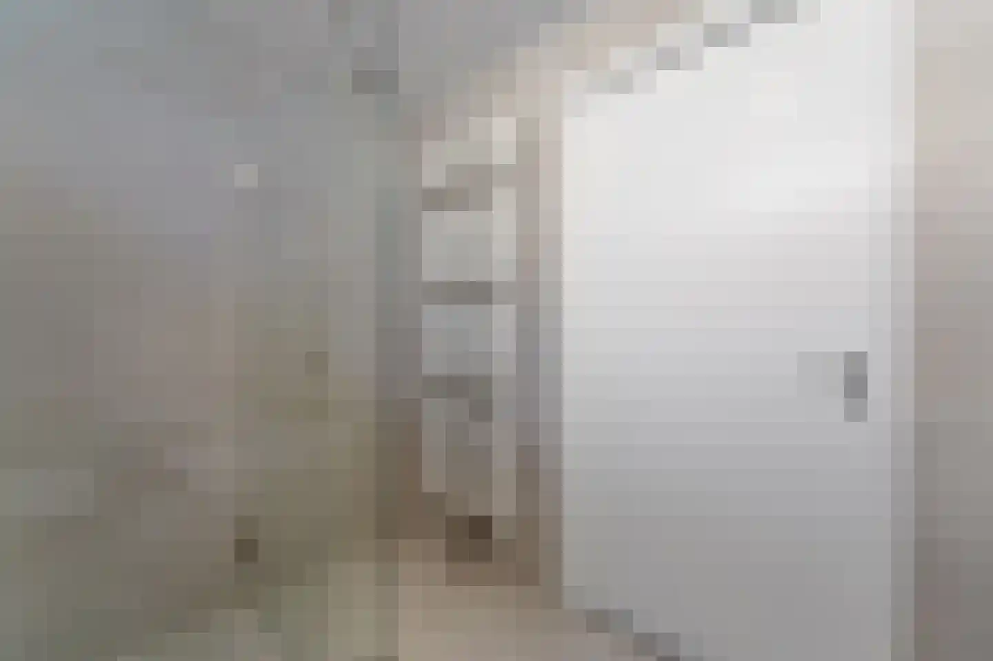 Dijkgraafstraat 4 Delfgauw thumbnail 61