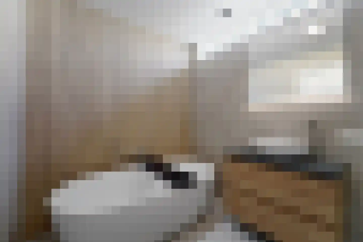 Dijkgraafstraat 4 Delfgauw thumbnail 62