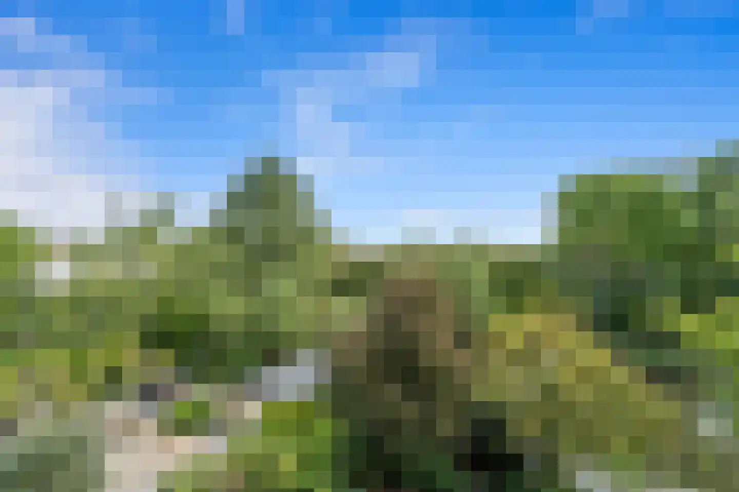 Dijkgraafstraat 4 Delfgauw thumbnail 65