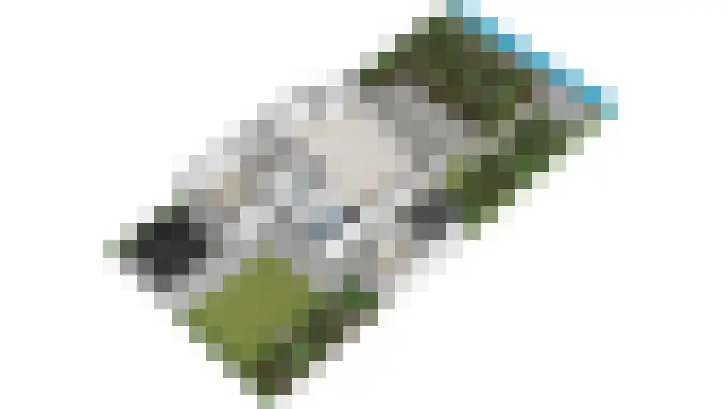 Dijkgraafstraat 4 Delfgauw thumbnail 88