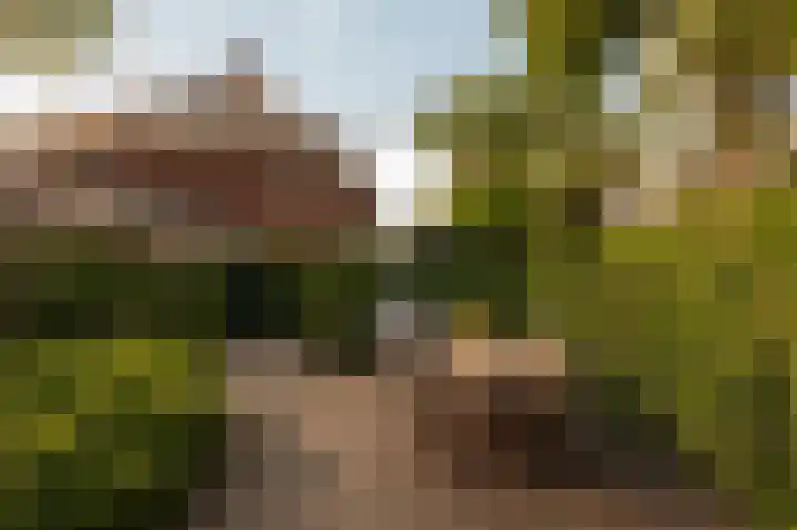 Dijkgravenlaan 1 Amstelveen thumbnail 10