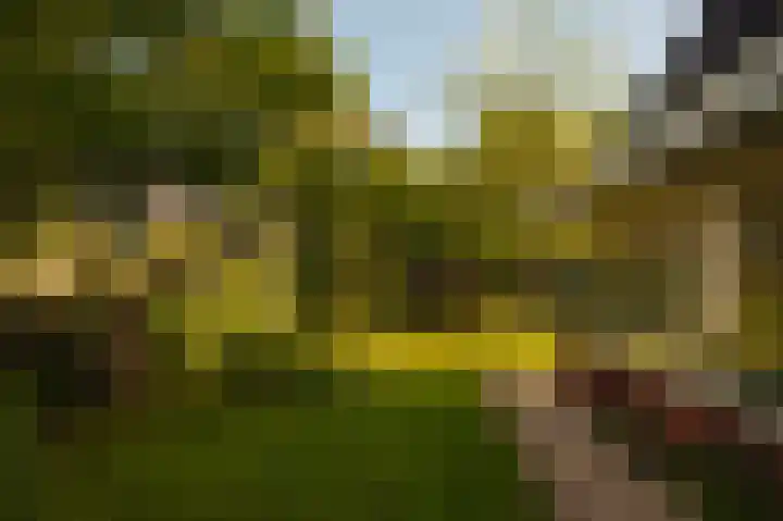 Dijkgravenlaan 1 Amstelveen thumbnail 13