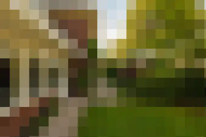 Dijkgravenlaan 1 Amstelveen thumbnail 14