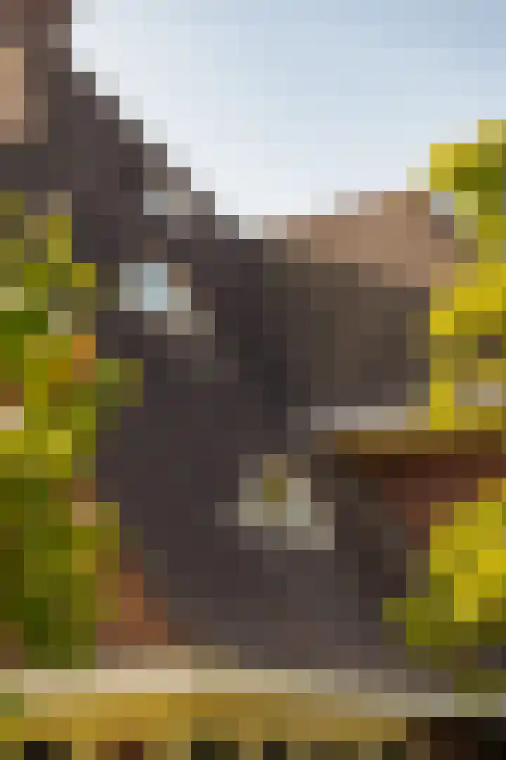 Dijkgravenlaan 1 Amstelveen thumbnail 16