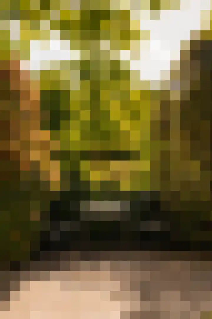 Dijkgravenlaan 1 Amstelveen thumbnail 17
