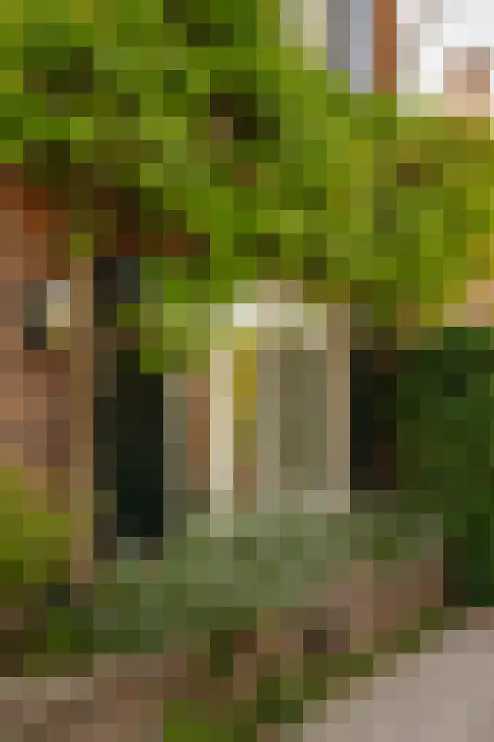 Dijkgravenlaan 1 Amstelveen thumbnail 19