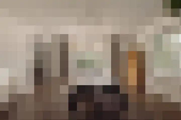 Dijkgravenlaan 1 Amstelveen thumbnail 21