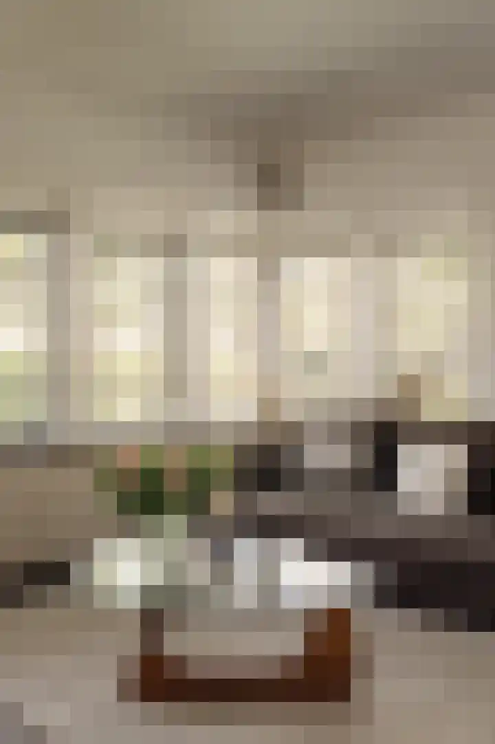 Dijkgravenlaan 1 Amstelveen thumbnail 23