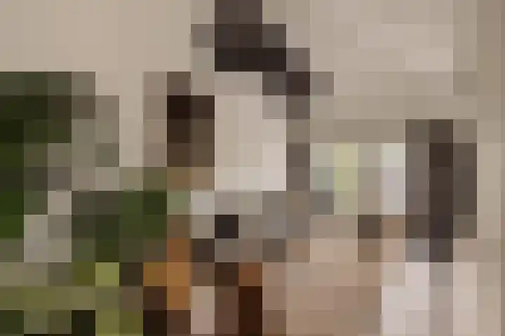 Dijkgravenlaan 1 Amstelveen thumbnail 28