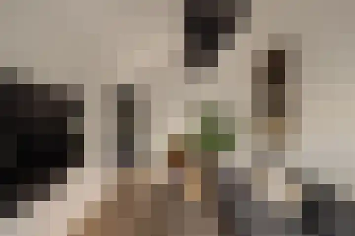 Dijkgravenlaan 1 Amstelveen thumbnail 29
