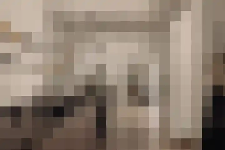 Dijkgravenlaan 1 Amstelveen thumbnail 31