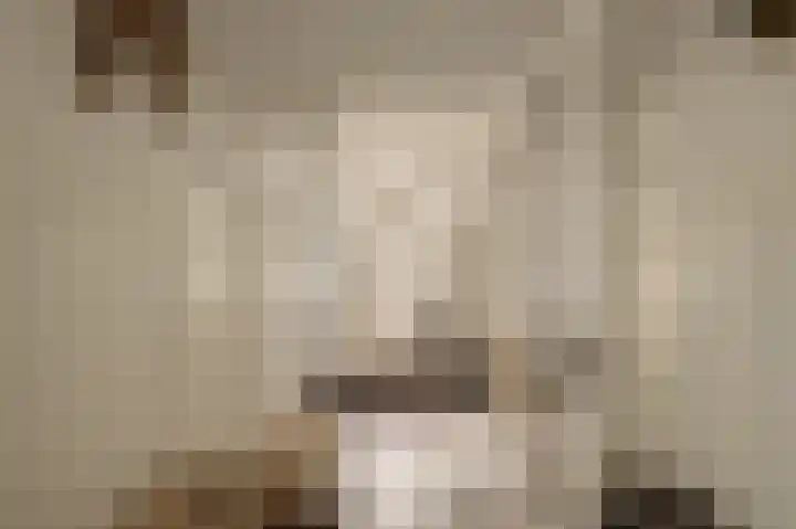 Dijkgravenlaan 1 Amstelveen thumbnail 32