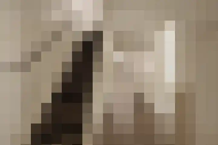 Dijkgravenlaan 1 Amstelveen thumbnail 33