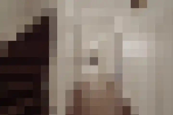 Dijkgravenlaan 1 Amstelveen thumbnail 34