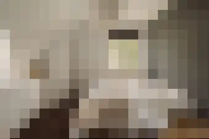 Dijkgravenlaan 1 Amstelveen thumbnail 35