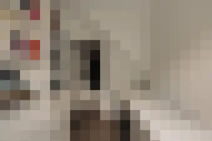Dijkgravenlaan 1 Amstelveen thumbnail 37