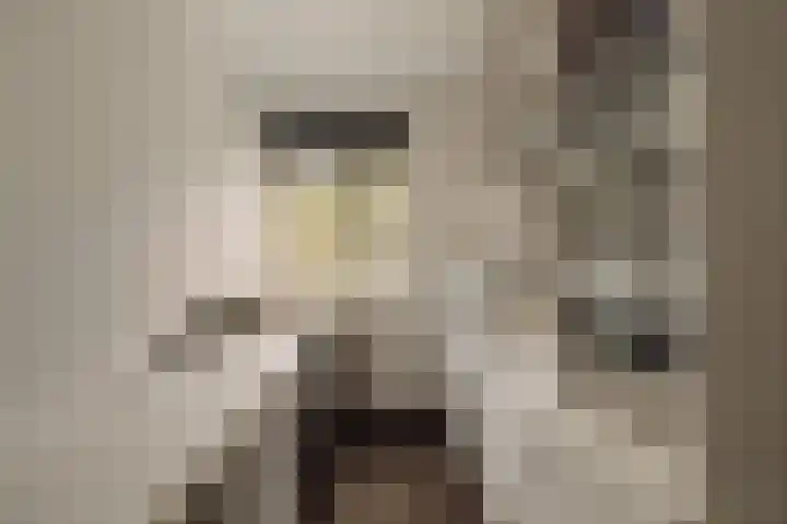 Dijkgravenlaan 1 Amstelveen thumbnail 38