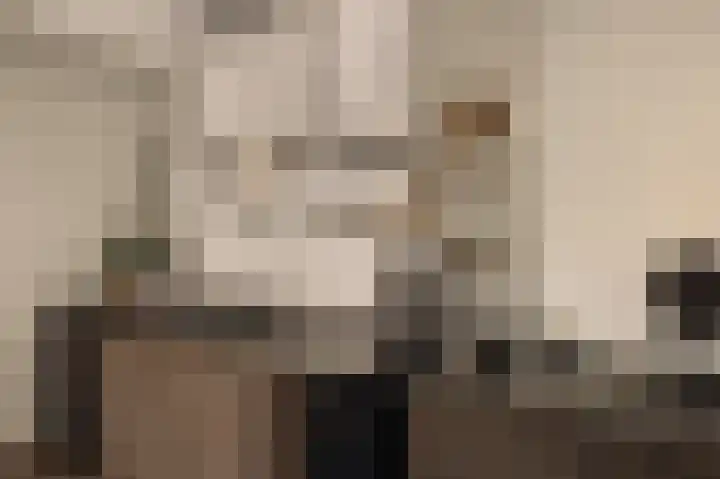 Dijkgravenlaan 1 Amstelveen thumbnail 4