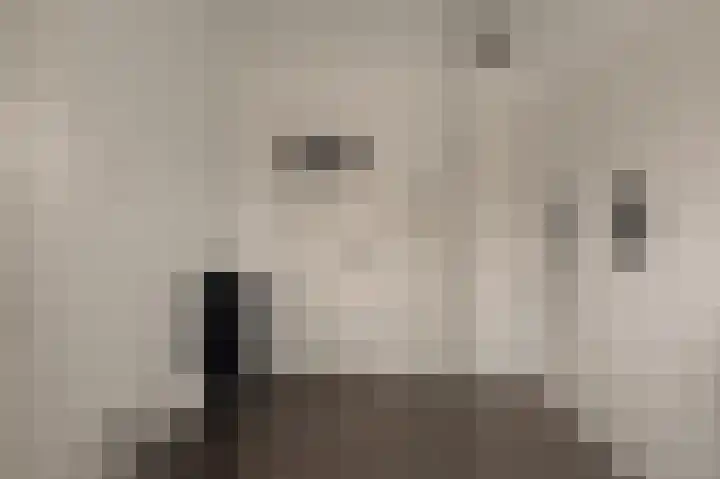 Dijkgravenlaan 1 Amstelveen thumbnail 40