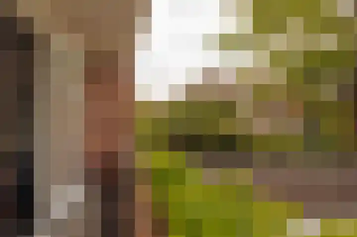 Dijkgravenlaan 1 Amstelveen thumbnail 42