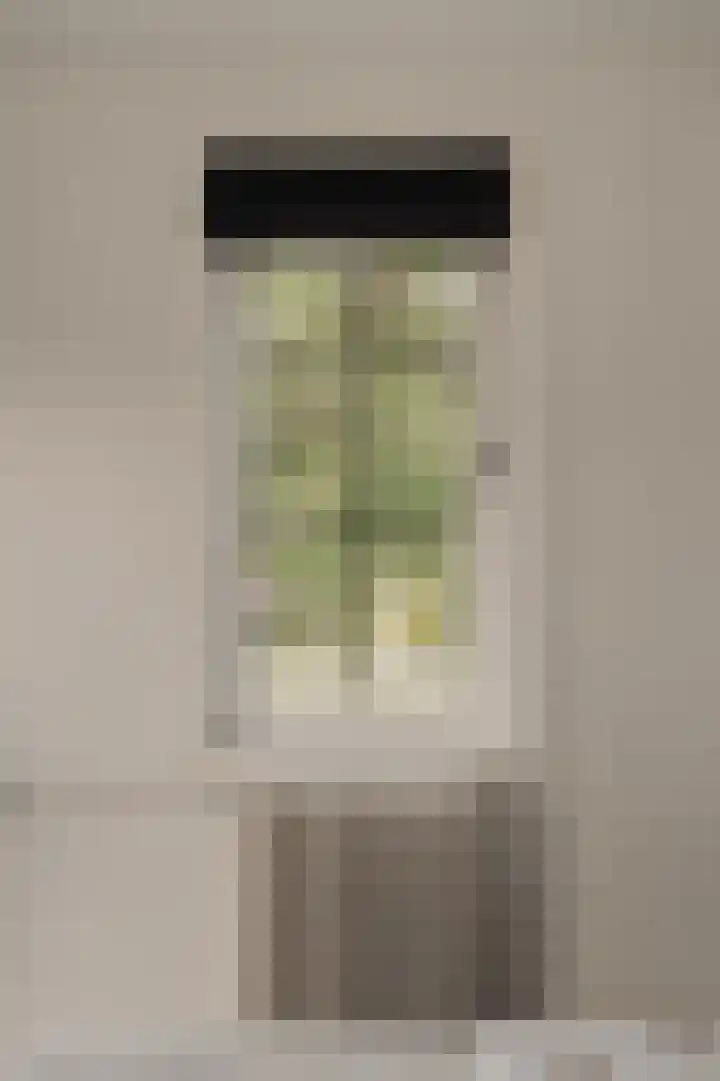 Dijkgravenlaan 1 Amstelveen thumbnail 46