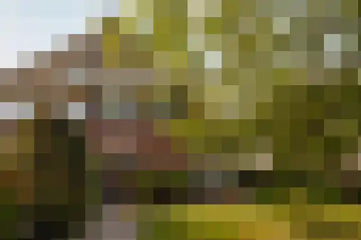 Dijkgravenlaan 1 Amstelveen thumbnail 6