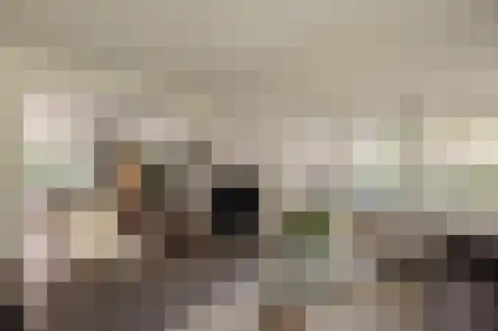Dijkgravenlaan 1 Amstelveen thumbnail 8