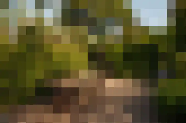 Dijkgravenlaan 1 Amstelveen thumbnail 9