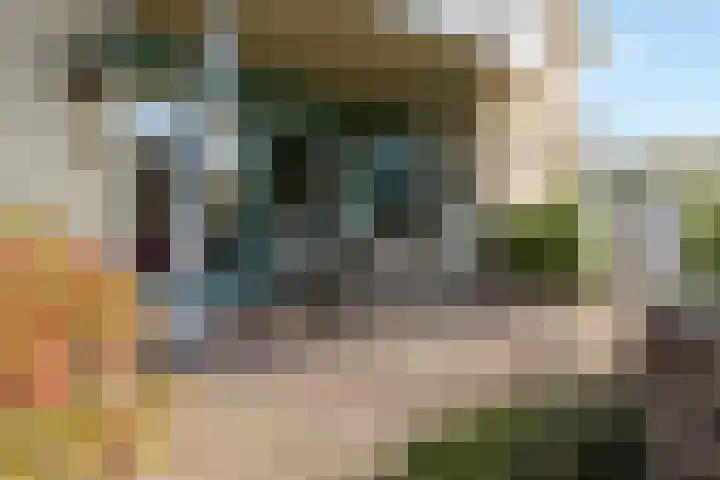 Dijkgravenlaan 11 Leiderdorp thumbnail 27
