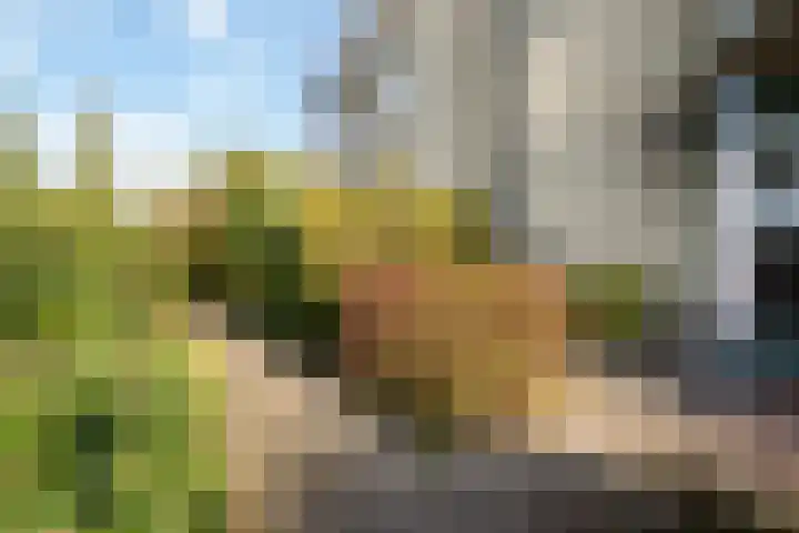 Dijkgravenlaan 11 Leiderdorp thumbnail 29