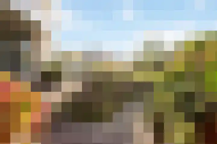 Dijkgravenlaan 11 Leiderdorp thumbnail 30