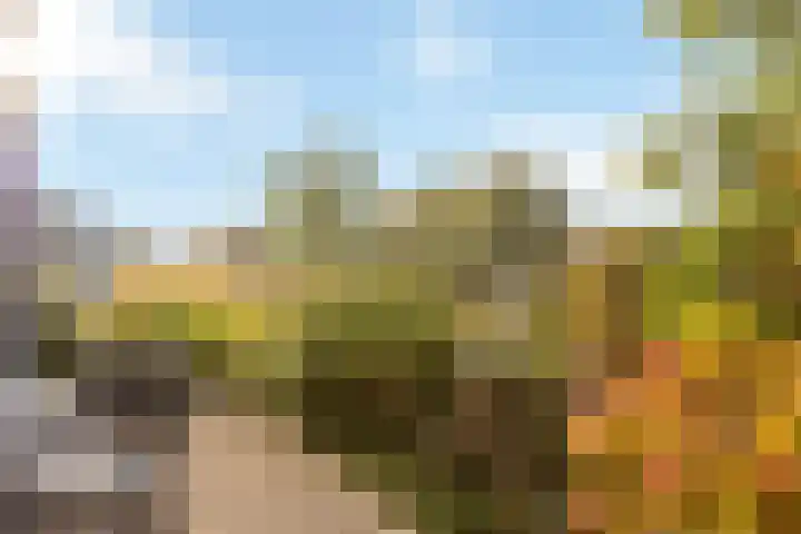Dijkgravenlaan 11 Leiderdorp thumbnail 31
